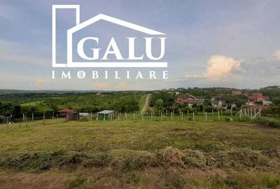 Spațiu comercial, în Central - 1