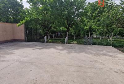 Spațiu comercial, de 603 mp, în Mehala - 27