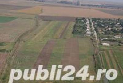 Teren de 1600 mp, în Doljești - 1