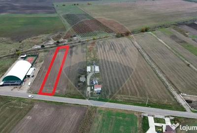 Teren de 1800 mp, în Mirceștii Vechi - 2