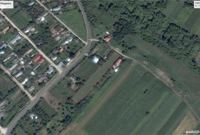 Teren de 3800 mp, în Plopșoru