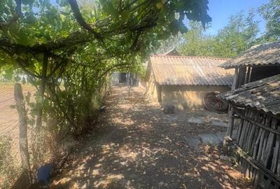 Casă cu 3 camere cu Teren 2800 Mp în Floroaica - 2