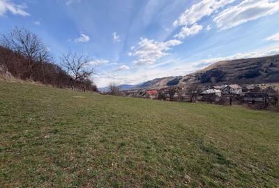 Spațiu comercial, în Central - 2