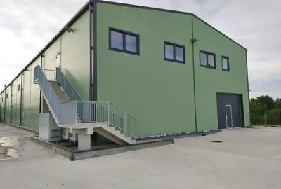 Spatiu logistic si birouri Premium Crevedia - 3