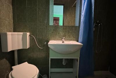 Spațiu comercial, de 600 mp, în Tineretului - 7