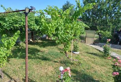 Casă cu 4 camere cu Teren 11000 Mp în Bobaița - 1