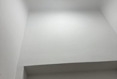 Garsonieră boemă, complet renovată, lângă Parcul Cișmigiu - 8