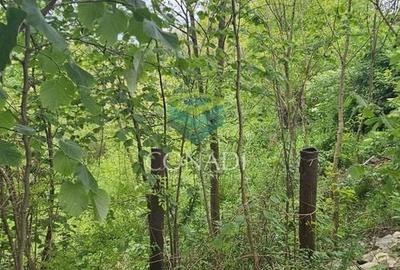 Teren Construcții intravilan de 800 mp, în Exterior Vest - 17