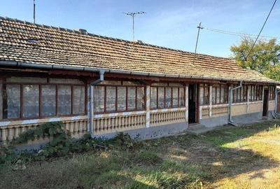 Casă cu 3 camere cu Teren 1500 Mp în Goicea - 6