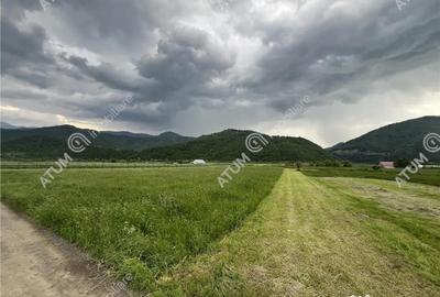 Teren de 3477 mp, în Boița - 1