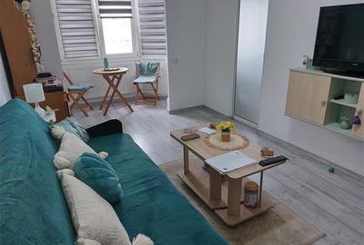 VANZARE GARSONIERA IN CARTIERUL NOUA, PRUNULUI, ZONA PENNY VANZARE GARSONIERA IN CARTIERUL NOUA, PRUNULUI, ZONA PENNY - 16