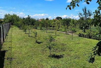 Casă cu 3 camere cu Teren 1025 Mp în Reghin - 3