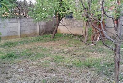 Casă cu 3 camere cu Teren 900 Mp în Central - 14