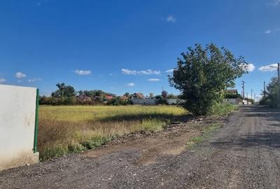 Lot Intravilan-Construibil Imediat - 4