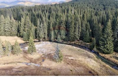 Teren intravilan de 5000 mp, în Moroeni - 4