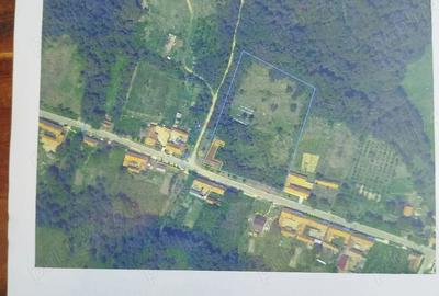 Casă cu 10 camere în Zgribești