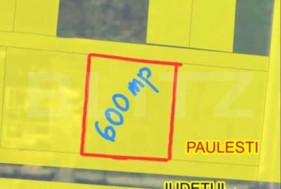 Teren de 600 mp, în Păulești - 1