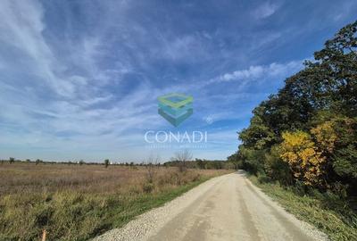 Teren de vanzare Padurea Baneasa 7.500 mp - 6