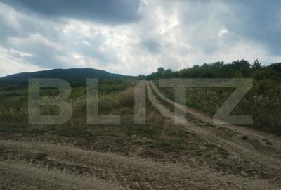 Teren de 5100 mp, în Sigmir - 1