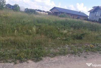 Teren de 1700 mp, în Colțirea - 1