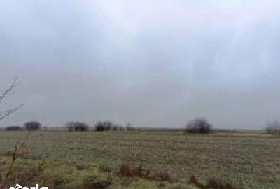 Teren de 6000 mp, în Ciocârlia - 5