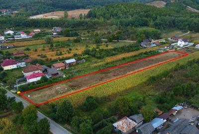 Teren de 3500 mp, în Tutana - 3