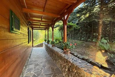 Cabana - Casa de vacanta situata in Muntele Rece! - 14