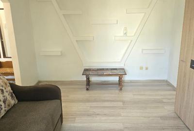 Apartament cu 2 camere semidecomandat în Piața Centrală - 7