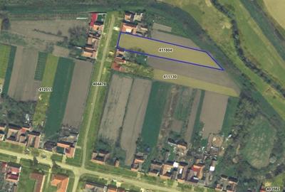 Teren Construcții intravilan de 3830 mp, în Boldur - 1