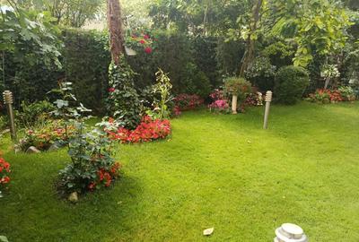 Complex Rezidențial Straulesti-Damaroaia- Vila-Zona Verde - 17