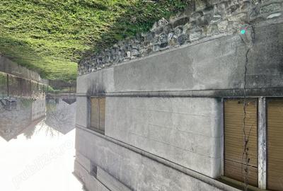 Casă cu 4 camere cu Teren 2054 Mp în Geoagiu - 3