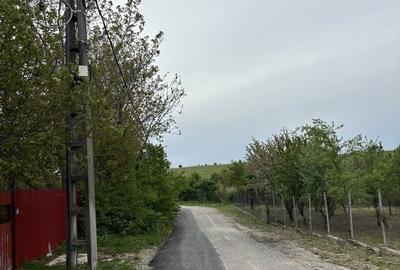 Spațiu comercial, în Petrăchioaia - 15