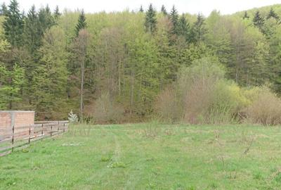 Spațiu comercial, în Sânpetru - 5