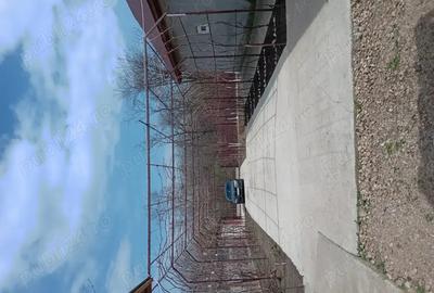 Casa de vinzare Casa de vinzare - 3