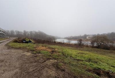 Teren cu deschidere la lac | 50 m Padure | 1000 MP - 6