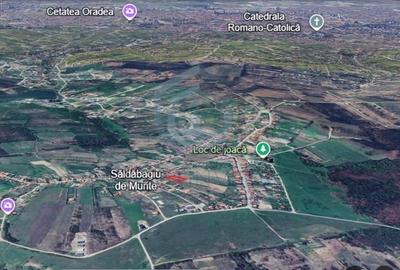 Teren intravilan Saldabagiu de Munte 1100m - 6