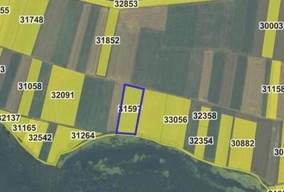 Teren de 4000 mp, în Berzasca