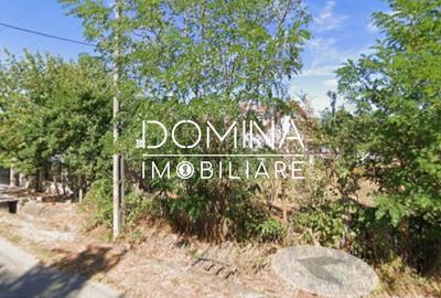 Teren agricol intravilan de 6292 mp, în Preajba Mare - 4