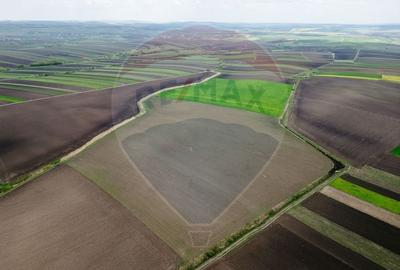Teren 86,000mp Suceava / DN 17 - 8