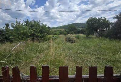 Casă cu Teren 3146 Mp în Crainimăt - 9