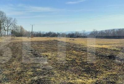 Teren intravilan 5800 mp, Chinteni, sat Padureni, pentru dez - 4