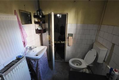 CASA 70 MP TEREN 450 MP GRIGORESCU STRADA ALEXANDRU VLAHUTA - 10