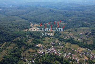 Oaza de natura si oportunitate in Baiculesti  Valea lui Enache, Arges - 2