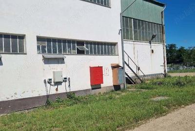 Chirie HALA 1546 mp cu 2 poduri rulante la 8 m inaltime , langa Oradea, plus platforma betonata - 1