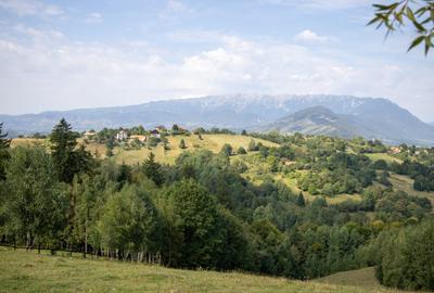 Teren Construcții extravilan de 10131 mp, în Bran - 2