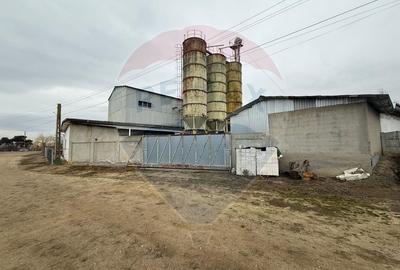 Moara Spatiu Industrial - 3