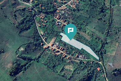 Teren fâneață lângă pădure - Hunedoara - 3