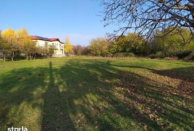 Teren de 1560 mp, în Poiana - 3