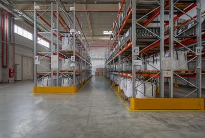 Hală industrială 5.000–12.000 mp de închiriat, Ghimbav - 9