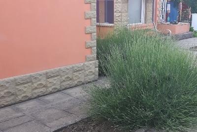 Casă individuală cu 3 camere cu Canalizare în Utvin - 1